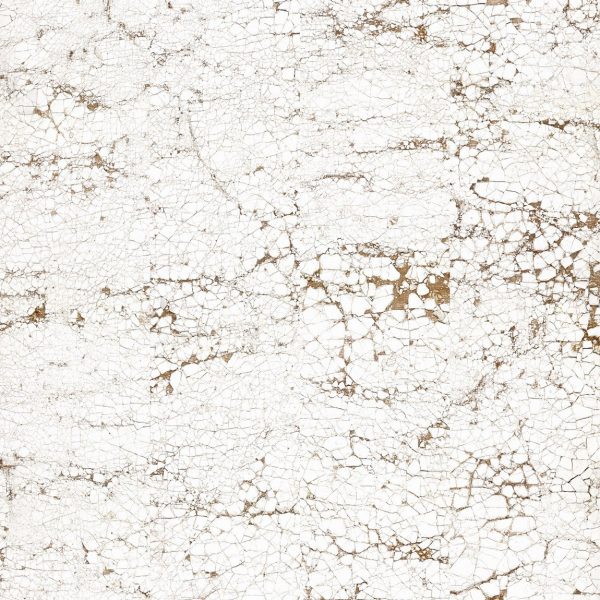 product image for NCA-01