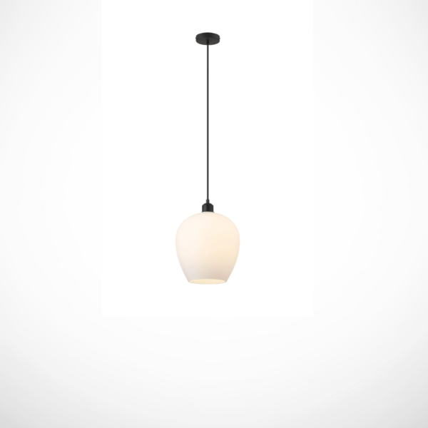 product image for 1000241